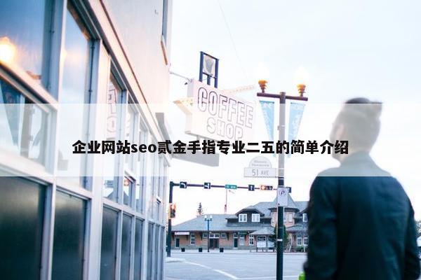 企业网站seo贰金手指专业二五的简单介绍