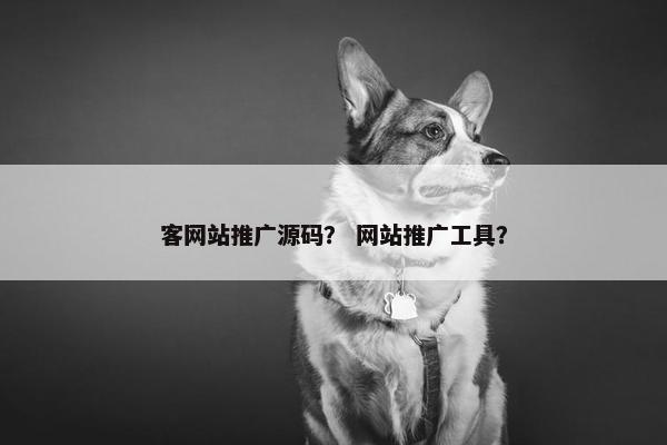 客网站推广源码？ 网站推广工具？