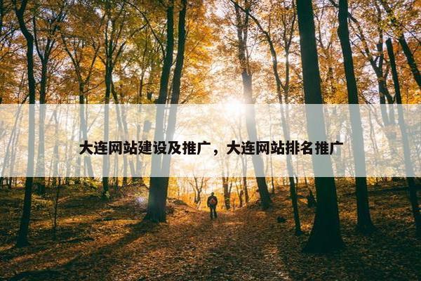 大连网站建设及推广，大连网站排名推广
