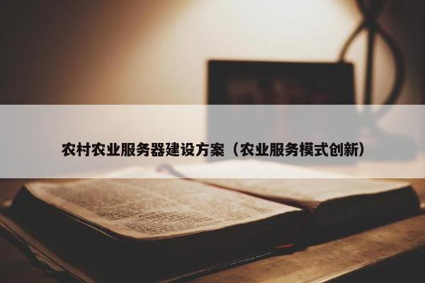 农村农业服务器建设方案（农业服务模式创新）