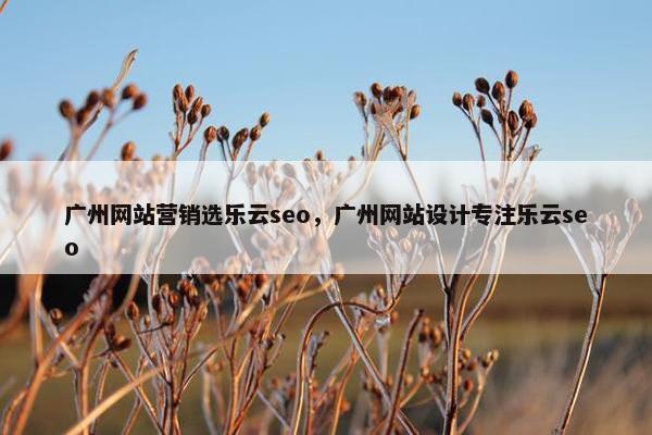 广州网站营销选乐云seo，广州网站设计专注乐云seo