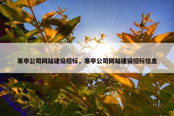 寒亭公司网站建设招标，寒亭公司网站建设招标信息