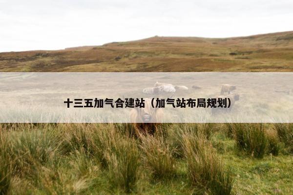 十三五加气合建站（加气站布局规划）