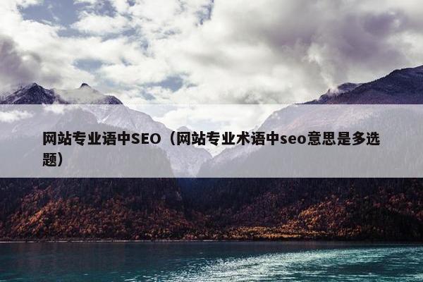 网站专业语中SEO（网站专业术语中seo意思是多选题）