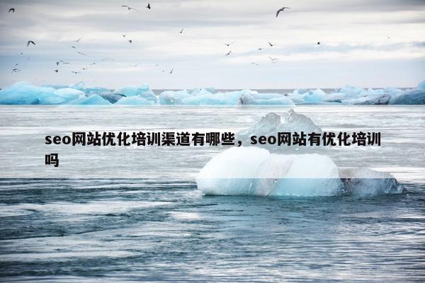 seo网站优化培训渠道有哪些，seo网站有优化培训吗