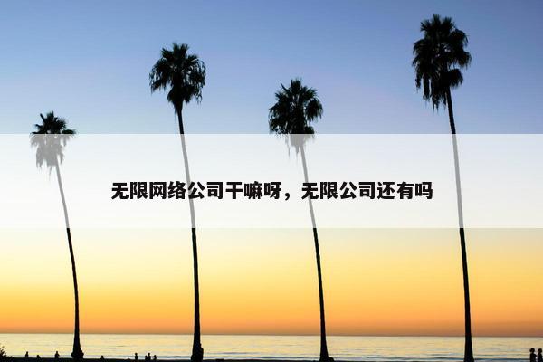 无限网络公司干嘛呀，无限公司还有吗