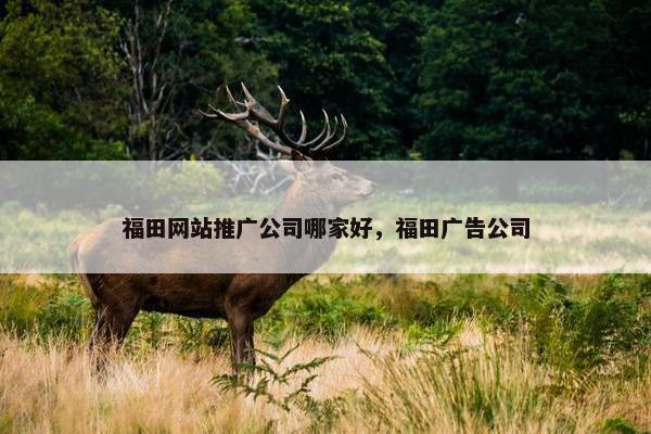 福田网站推广公司哪家好，福田广告公司