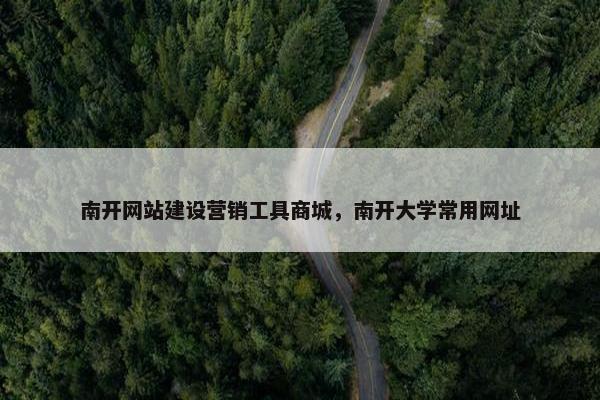 南开网站建设营销工具商城，南开大学常用网址