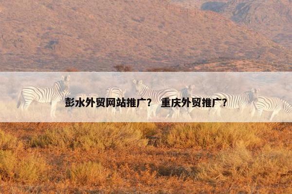 彭水外贸网站推广？ 重庆外贸推广？
