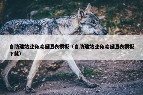 自助建站业务流程图表模板（自助建站业务流程图表模板下载）