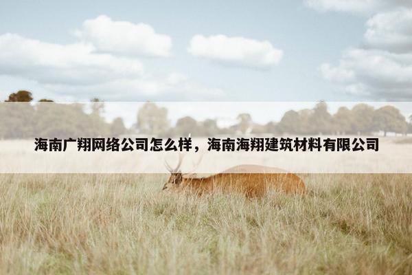 海南广翔网络公司怎么样，海南海翔建筑材料有限公司