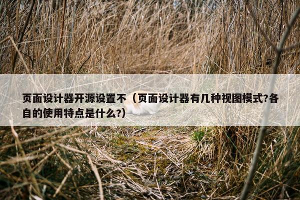 页面设计器开源设置不（页面设计器有几种视图模式?各自的使用特点是什么?）