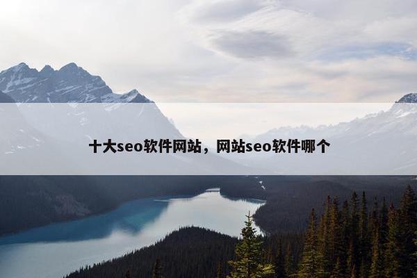 十大seo软件网站，网站seo软件哪个