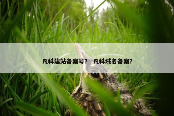 凡科建站备案号？ 凡科域名备案？