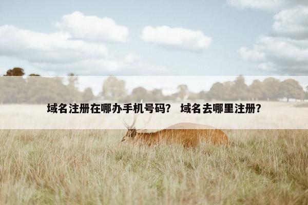 域名注册在哪办手机号码？ 域名去哪里注册？