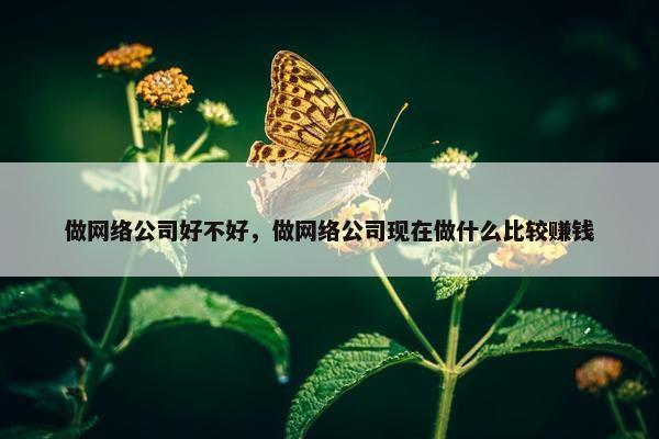 做网络公司好不好，做网络公司现在做什么比较赚钱