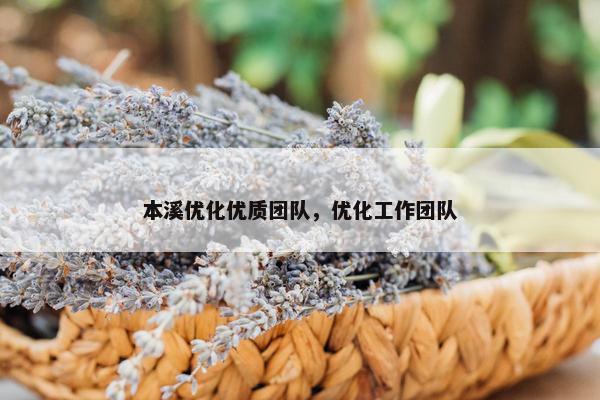 本溪优化优质团队，优化工作团队