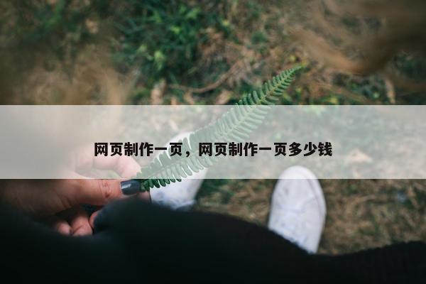网页制作一页，网页制作一页多少钱