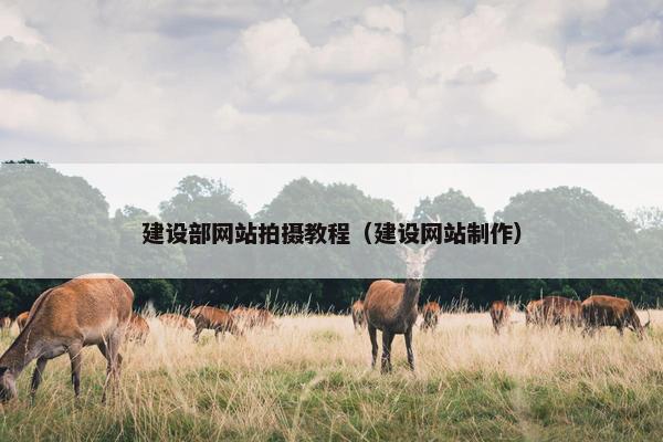 建设部网站拍摄教程（建设网站制作）
