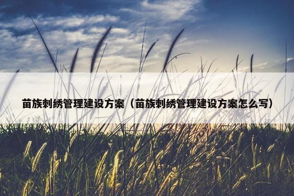 苗族刺绣管理建设方案（苗族刺绣管理建设方案怎么写）