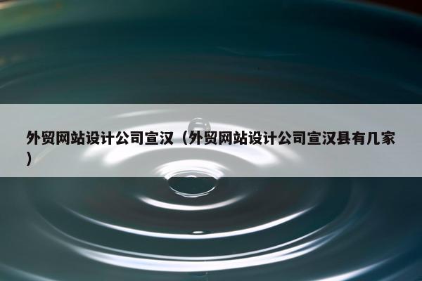 外贸网站设计公司宣汉（外贸网站设计公司宣汉县有几家）