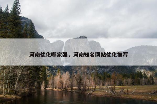河南优化哪家强，河南知名网站优化推荐