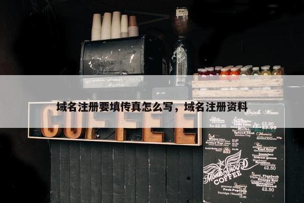 域名注册要填传真怎么写，域名注册资料