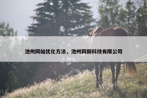 池州网站优化方法，池州网新科技有限公司