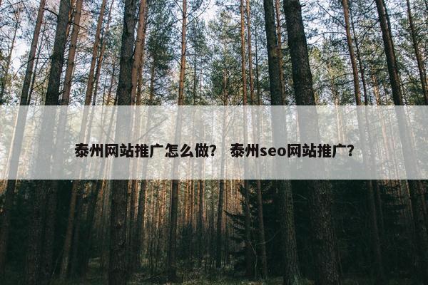 泰州网站推广怎么做？ 泰州seo网站推广？