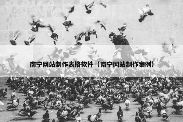 南宁网站制作表格软件（南宁网站制作案例）