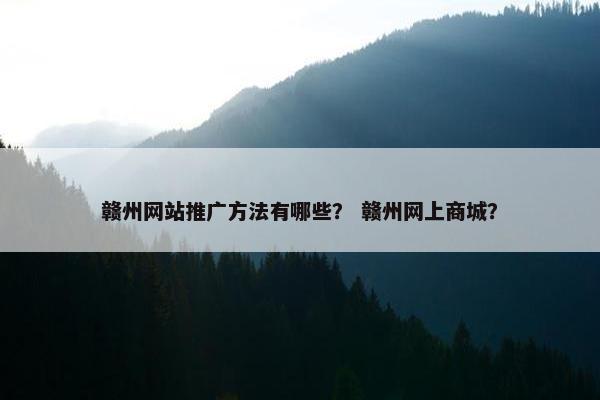 赣州网站推广方法有哪些？ 赣州网上商城？