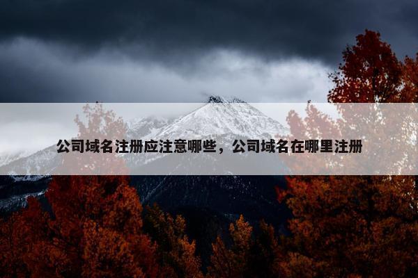 公司域名注册应注意哪些，公司域名在哪里注册