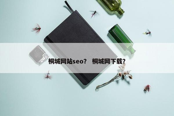 桐城网站seo？ 桐城网下载？
