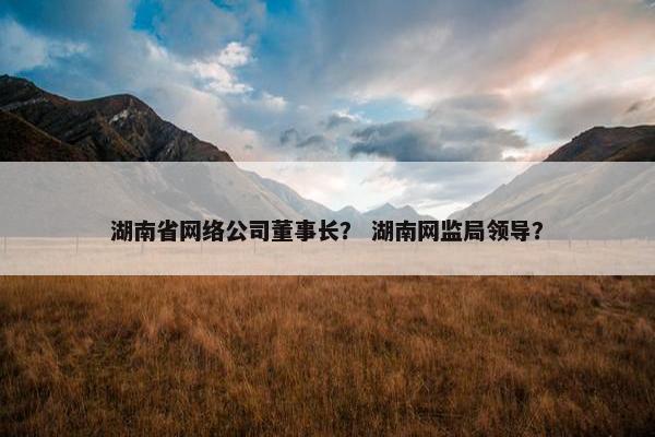 湖南省网络公司董事长？ 湖南网监局领导？