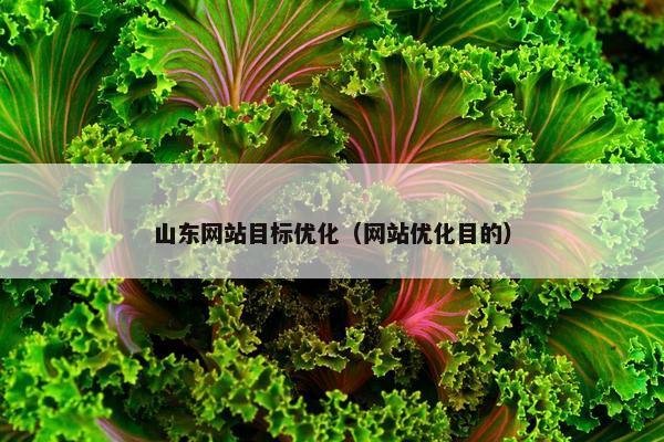 山东网站目标优化（网站优化目的）