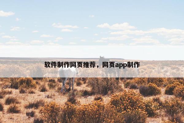 软件制作网页推荐，网页app制作