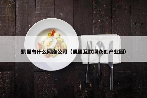 凯里有什么网络公司（凯里互联网众创产业园）
