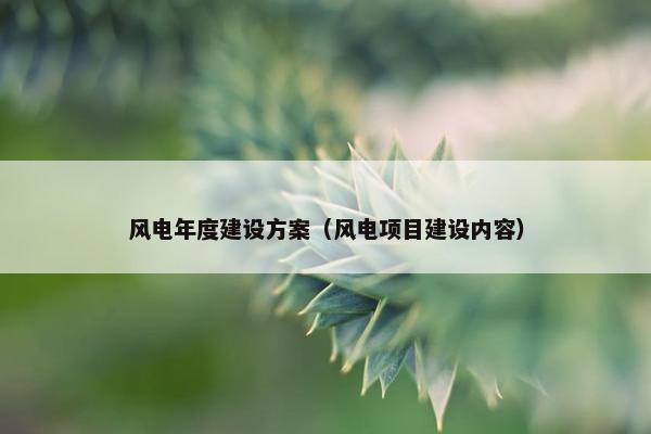 风电年度建设方案（风电项目建设内容）