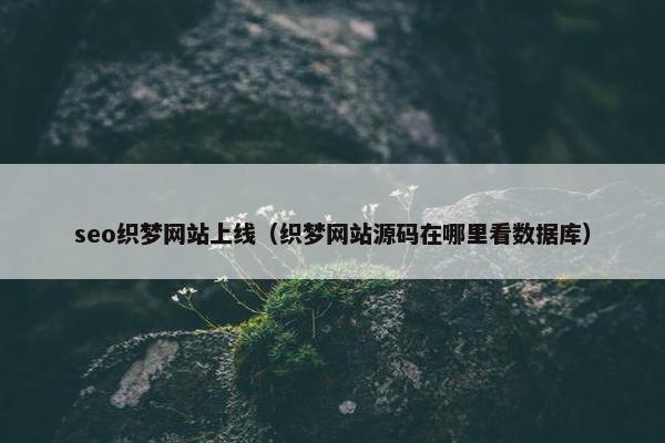 seo织梦网站上线（织梦网站源码在哪里看数据库）