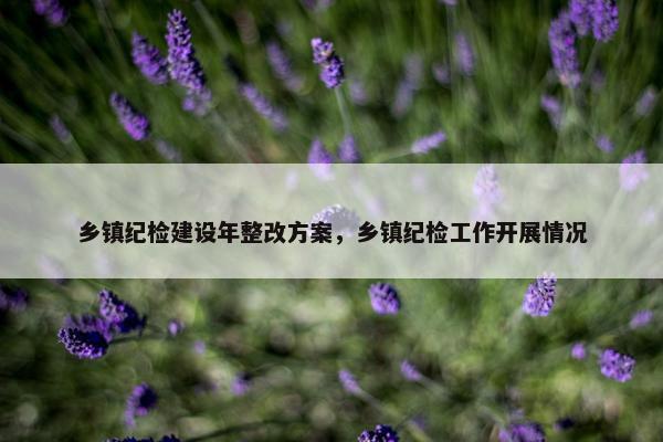 乡镇纪检建设年整改方案，乡镇纪检工作开展情况