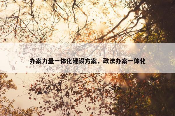 办案力量一体化建设方案，政法办案一体化