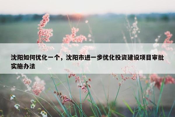 沈阳如何优化一个，沈阳市进一步优化投资建设项目审批实施办法