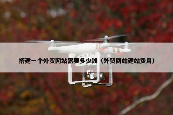 搭建一个外贸网站需要多少钱（外贸网站建站费用）