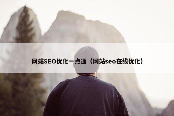 网站SEO优化一点通（网站seo在线优化）