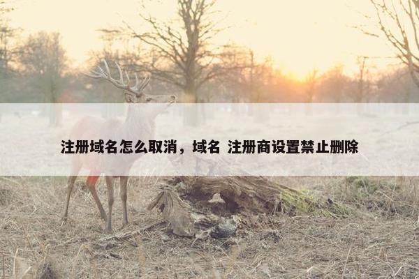 注册域名怎么取消，域名 注册商设置禁止删除