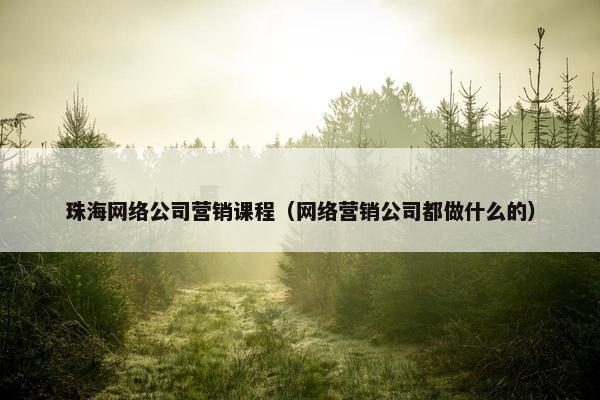 珠海网络公司营销课程（网络营销公司都做什么的）