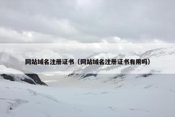 网站域名注册证书（网站域名注册证书有用吗）