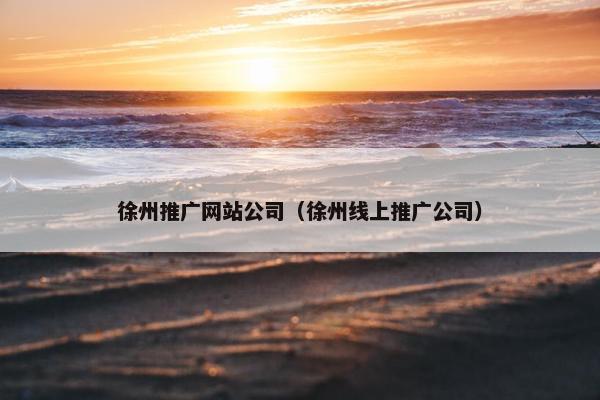 徐州推广网站公司（徐州线上推广公司）