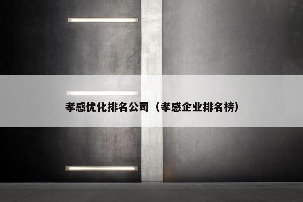 孝感优化排名公司（孝感企业排名榜）