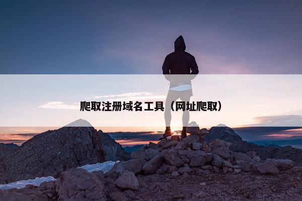 爬取注册域名工具（网址爬取）